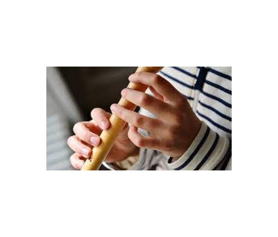 Sign up to our new Beginner Recorder group! Sheffield Music Hub